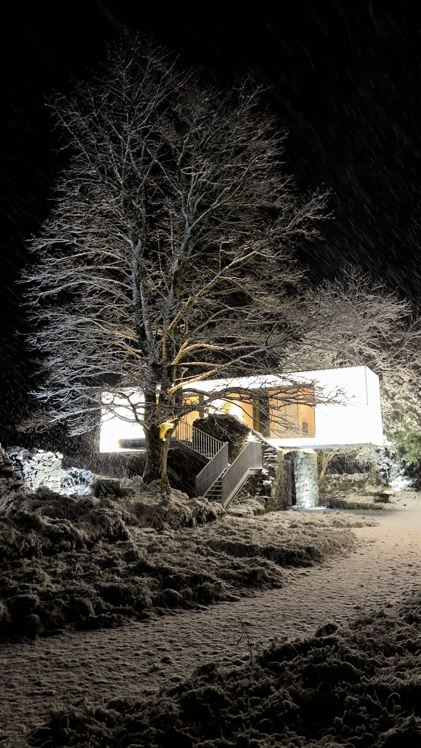 barneys ruins